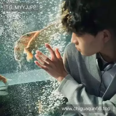 井舟红